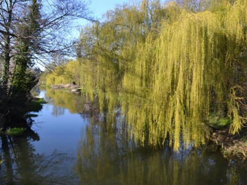 Bridge House B&B Coltishall Esterno foto